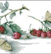Luca-S - B2253 Raspberries and Butterflies XSD
