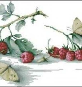 Luca-S - B2253 Raspberries and Butterflies XSD