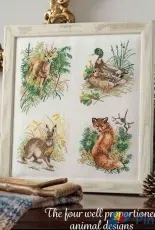 Animal Nature by Eva Rosenstand from Cross Stitch Collection 254