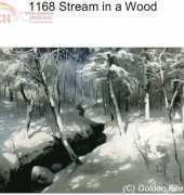 Golden Kite - 1168 - Stream in a wood