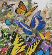 HAED HAEDAP105 Tropical Butterfly by David Penfound Artworks