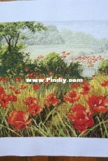 Poppy Blossom/DOME