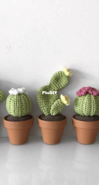 Zoe Creates - Zoe Bartley  - Cactus bundle