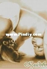 Bridge for kitten by Yushchuk/Mully  XSD