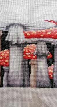 Mushrooms - process 3
