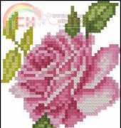 Single rose