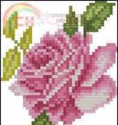 Single rose