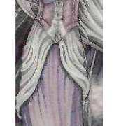 HAED Storykeep White Magic - Jessica Galbreth