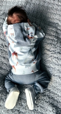 Little Lizard King - Salla - Sizes newborn - 4 Years - Free