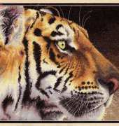 Dimensions 35171 Regal Tiger