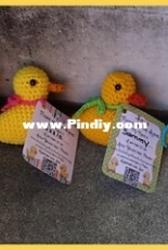 Lucky Duckies