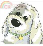 DMC K5099 Perfect Pets Bob