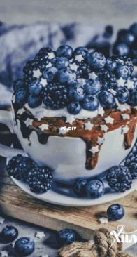 Chimera-Dessert with blueberries and blackberries