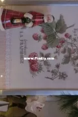 Etude aux Framboises