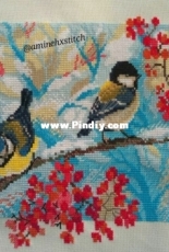 birds