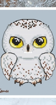 Polar Owl by Ekaterina Malakhova