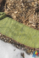 Secret Flying Dragon Scarf by Kristi Peterson-Free