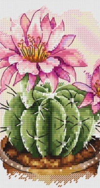 Pink Blooming by Natalya / Natalia Butrimene