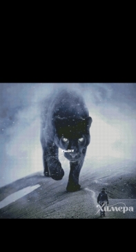 Chimera - kindred spirit.  panther