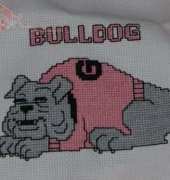 bulldog