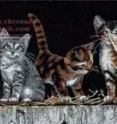 Dimensions 35133 Barnyard Kitties XSD