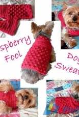 Kay Graves - Raspberry Fool Crocheted Dog Sweater - Free