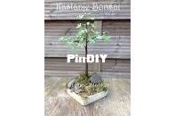 Yvonnes Crochet Art - Yvonne Blanker - Chestnut Bonsai - Kastanje Bonsai - Dutch