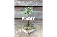 Yvonnes Crochet Art - Yvonne Blanker - Chestnut Bonsai - Kastanje Bonsai - Dutch