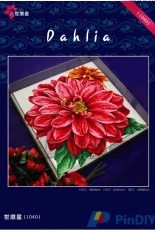Dome 110401 - Dahlia