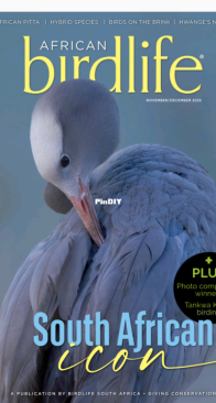 African Birdlife – November/December 2025