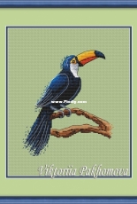 Tucan by Victoria / Victoriia Pakhomova