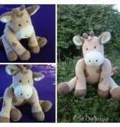 A lovely cow....