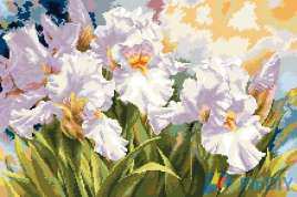 Alisa 2-36 White irises