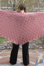 Gwendolyn Shawl/Wrap by Stefanie Bold -Eng-German-Free