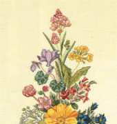 Eva Rosenstand 22-243 Alpine flowers