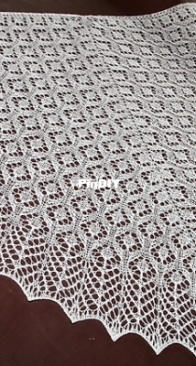 Caratacus by Engineered Knits