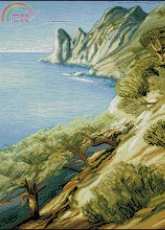 Solaria Gallery 2111-08 Seaside landscape