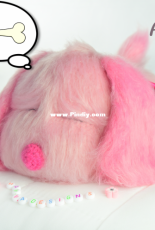 Havva Designs - Havva Unlu - Sleepy Dog - Turkish