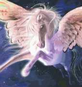 Pegasus HAED HAELAP 104 - LAURA PRINDLE