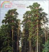 Golden Kite GK 1724 - The Sun in Wood (Small)