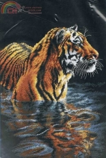 Dimensions 35222 - Tiger Chilling Out XSD
