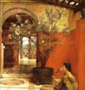 Golden Kite 930 An Oleander