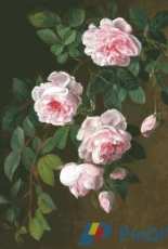 Golden Kite GK-S2549 Roses (small)
