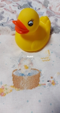 Мои кроли
