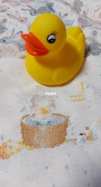 Мои кроли