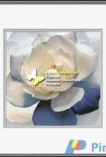 I Love CrossStitch ILCS AST-003 - Wild Blue