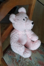fluffy bear