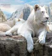 HAESPE 2367 Lord of the Mountains