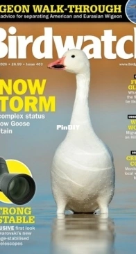 Birdwatch UK - Issue 403 - January 2026