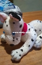 Dalmatian